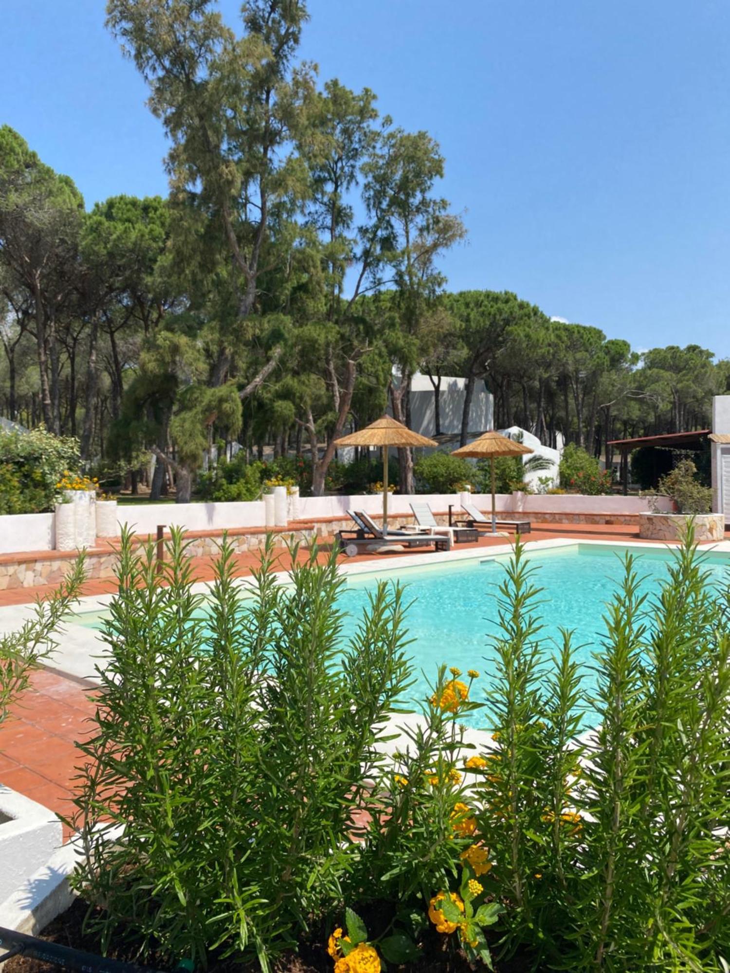 Hotel Mare Pineta Santa Margherita di Pula Zewnętrze zdjęcie